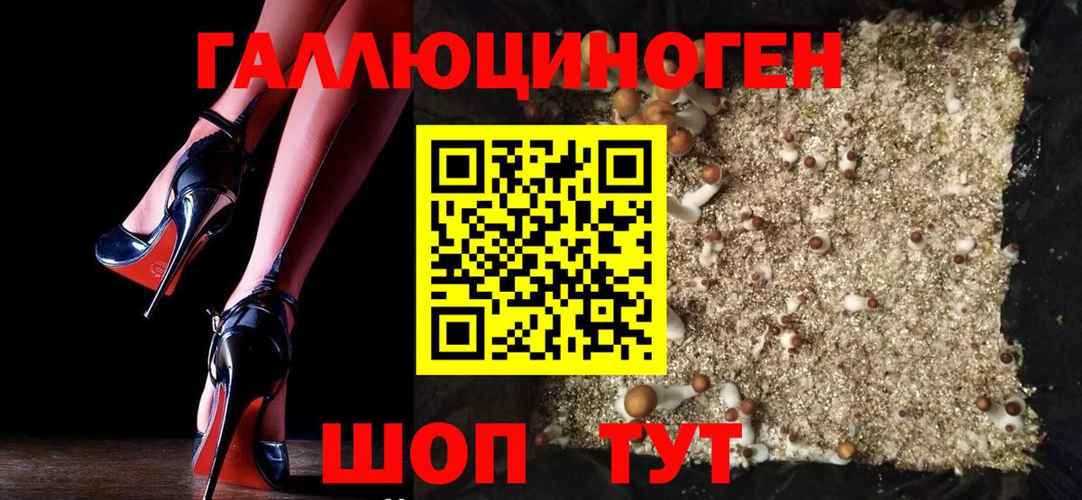 Куйбышев  наркотики  Вход с VPN  Галлюциногенные грибы Magic Shrooms  Псилоцибиновые грибы Magic Shrooms 