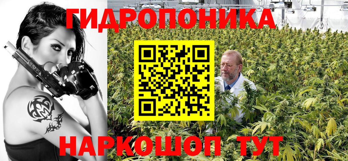 Конопля план Куйбышев